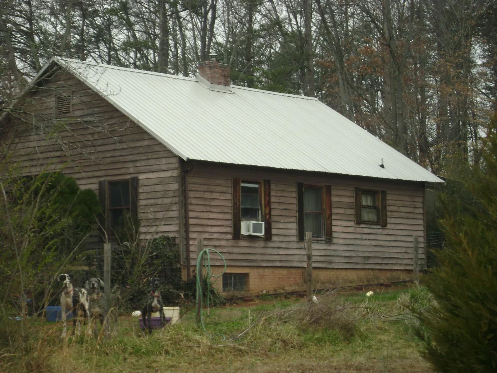 White metal roof on an old wood sided farmhouse, from a Metal Roof Installation job in South Cle Elum